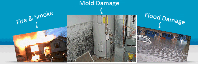 Mold Damage Repair
